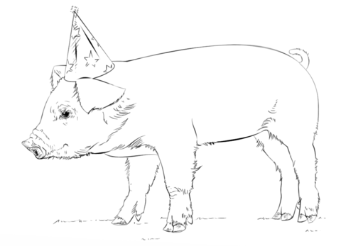 Realistic Baby Pig Coloring Page